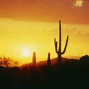 Arizona Golf Package